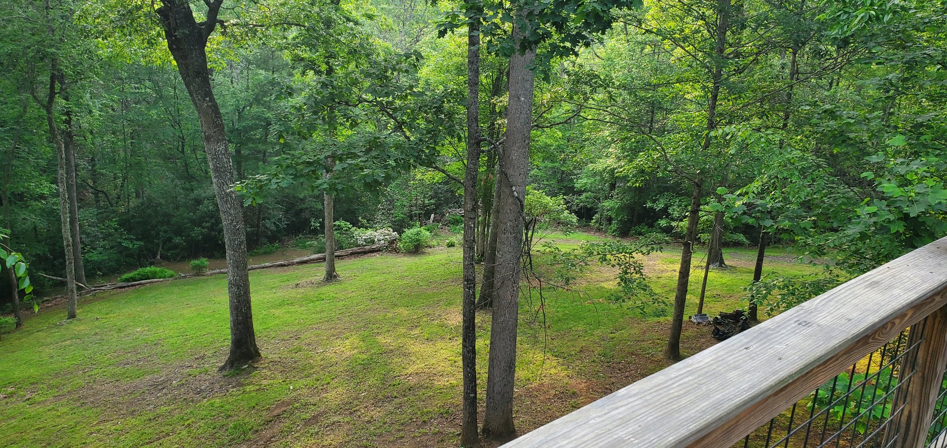 Lush green backyard view from deck